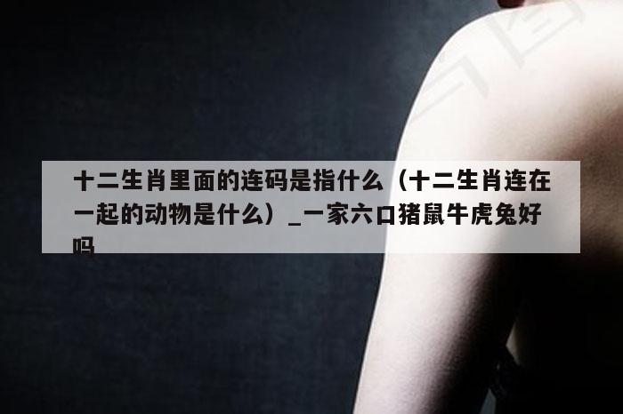 十二生肖里面的连码是指什么(十二生肖连在一起的动物是什么)_一家六口猪鼠牛虎兔好吗